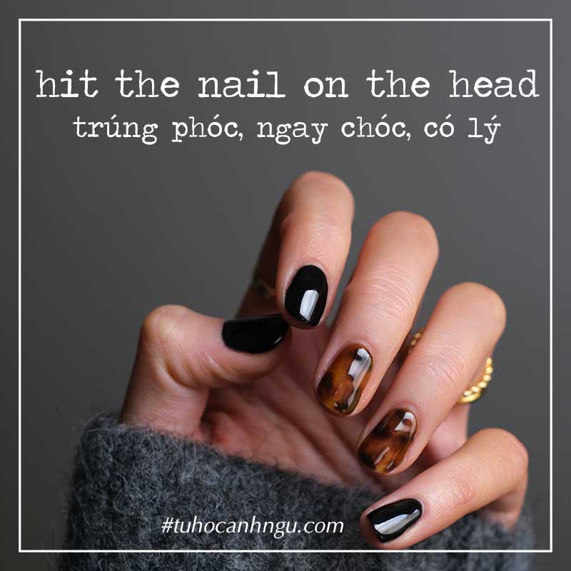 Nail Head PNG & Download Transparent Nail Head PNG Images for Free - NicePNG